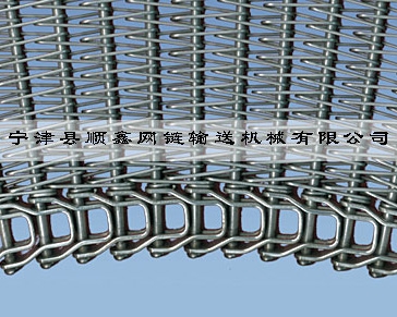 滨州冷冻传送式螺旋网带