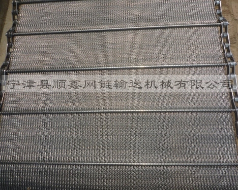 滨州人字型链条网带